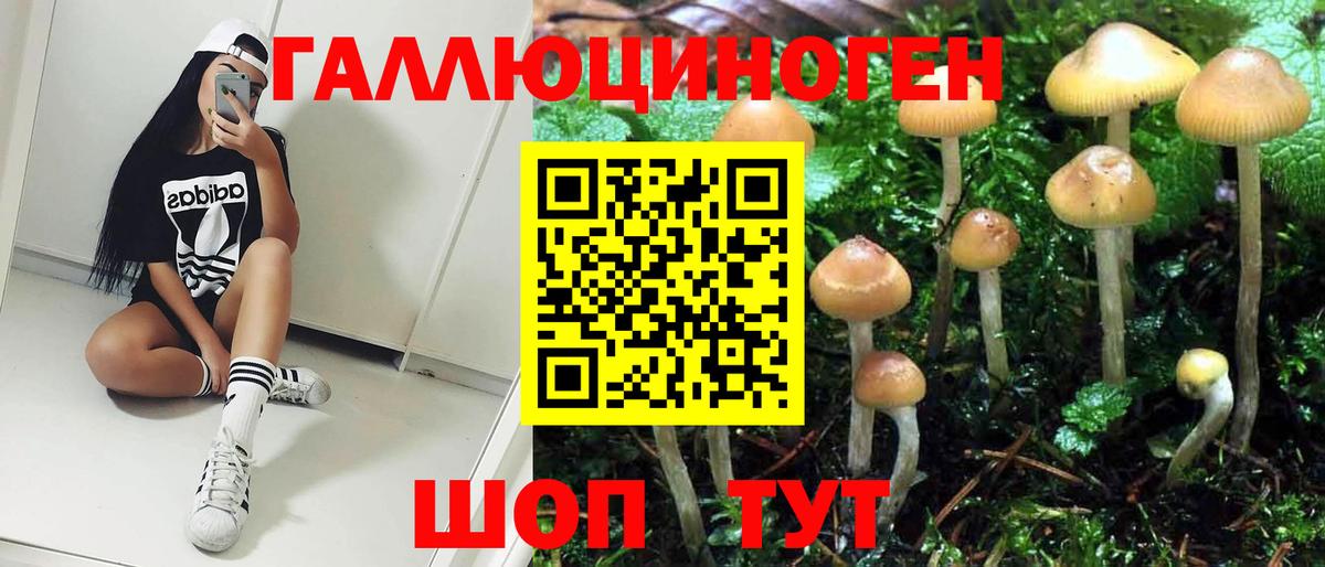 Галлюциногенные грибы ЛСД Нижний Тагил